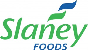 Slaney Logo Vector artwork